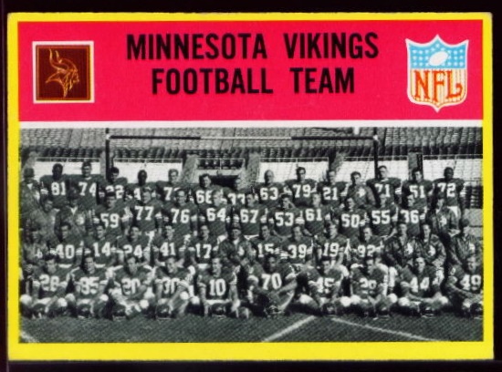 97 Vikings Team